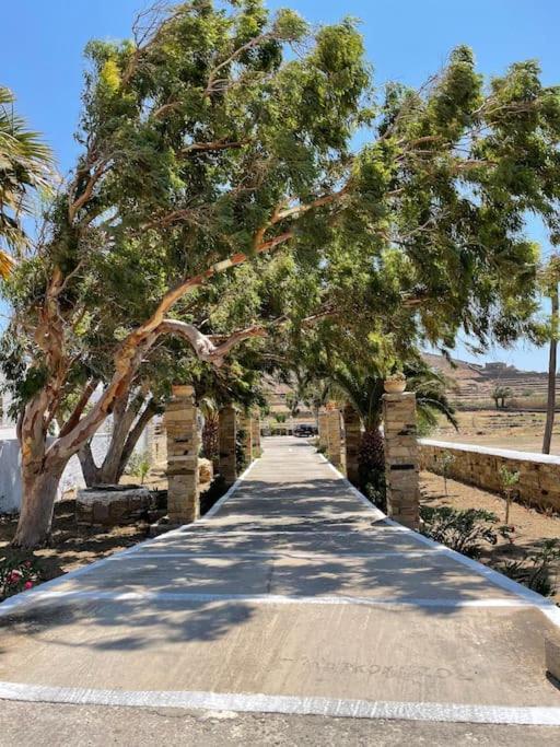 Апартаменти Θἔρως Tinos Екстер'єр фото